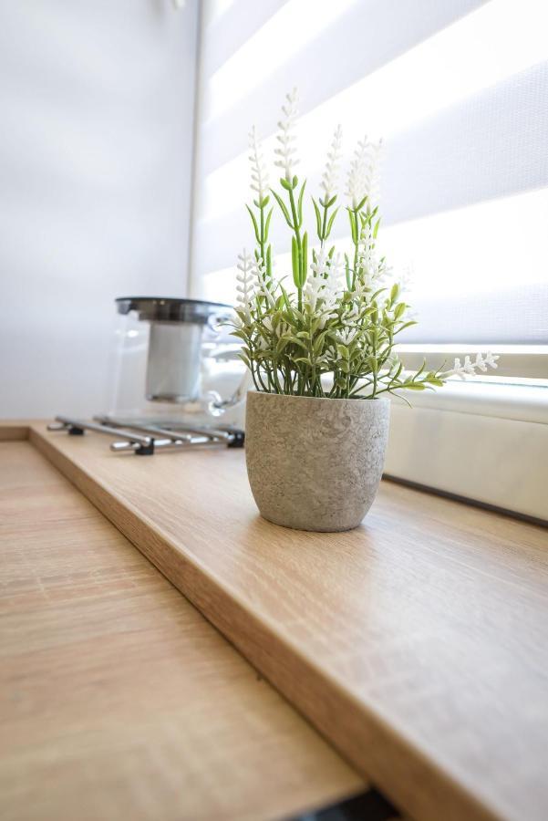 Apartment Pawelek Zator